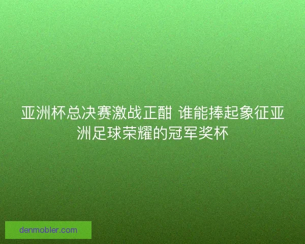 亚洲杯总决赛激战正酣 谁能捧起象征亚洲足球荣耀的冠军奖杯
